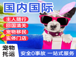 敦煌莫高空运地址国际宠物托运 【国